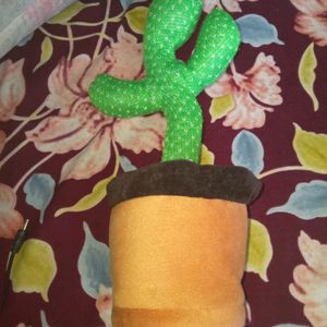 Dancing Cactus New