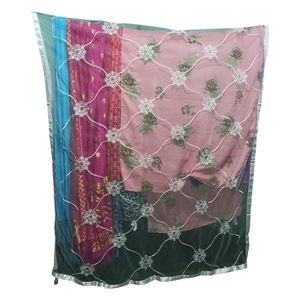 Trendy Embroidary Designer Net Dupatta