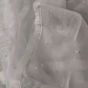 Pakistani Organza Suit