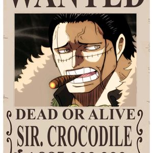 Pack Of 20 Wanted One Piece Anime Poster