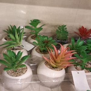 2pc Artificial Mini Desktop Plant