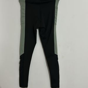 Amazon Mesh Detail Leggings (Black and Green)