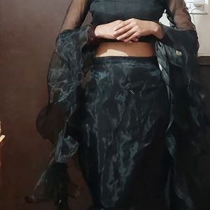 Black Fish Cut Lehenga