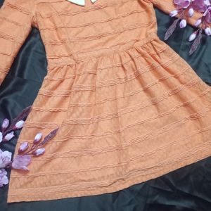 Vintage Dark Peach Lace Dress with collar