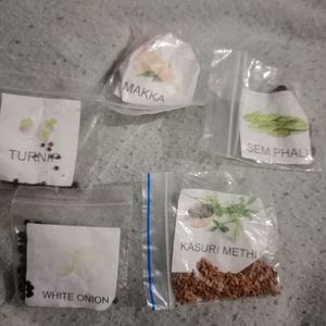 5 Vegetable Seeds