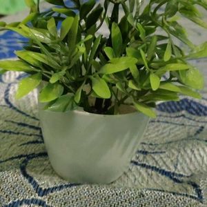 Artificial Plant 1 Pcs