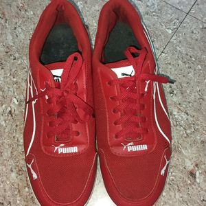 Puma Man Shoe