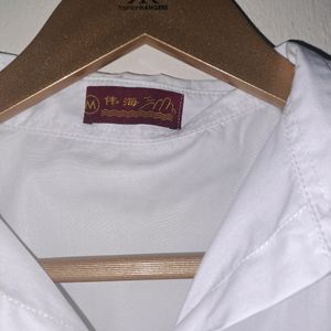 Fitted Collared Shirt