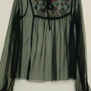 Size 28-34 Sheer Party Top