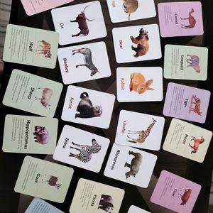 Animal Flashcard Learning 1 To 6 Years