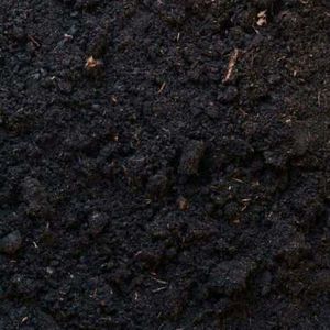 Black Vermi compost Pure