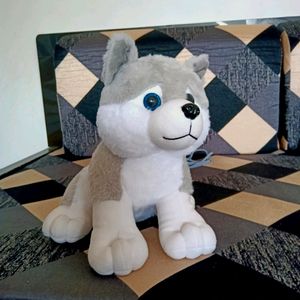 Husky Plush Soft Toy 🐺 Very Cute Dog