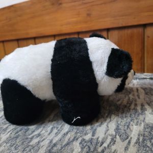 A Cute Panda