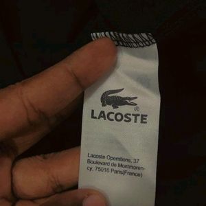 LACOSTE ( ORIGINAL)