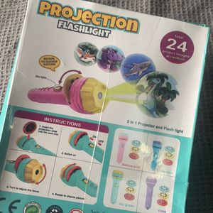 Projection Flashlight