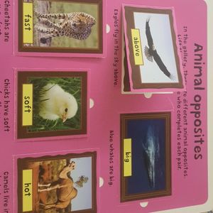 🔥🔥Lift the flap first 100 animals by Priddy books Board book