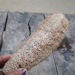 luffa (organic luff