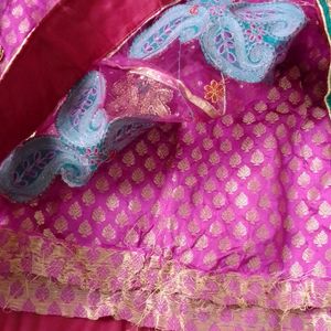 Beautiful Heavy Embroided Lahanga Choli