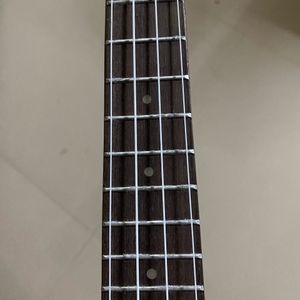 Kadence Ukulele