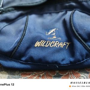 Wildcraft Waist Pouch- Blue