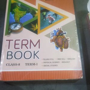 8th Class All Three Term Books