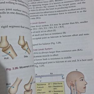 General Anatomy Handbook