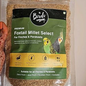 Foxtail Millet Select . Bird Food