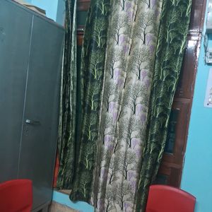 Curtain