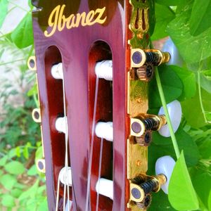 🎸Ibanze Ga6ce-Am Professional Classical guiter.