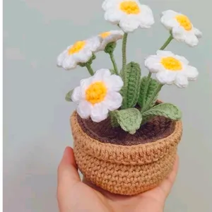 6flower With Pot