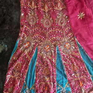 Saree- Half Ghaghra/lehenga Style Saree