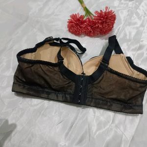 Imported Designer Korian Bra