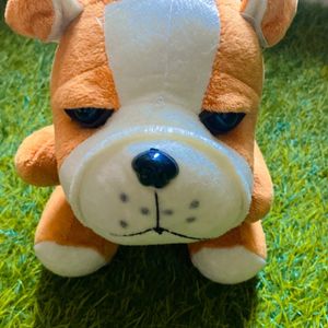 Doggy Soft Toy