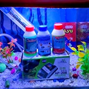 Fish Aquarium