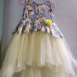 Brand New Organza Birthday Dress