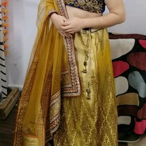 Lehenga(coins Or Swap Accepted)