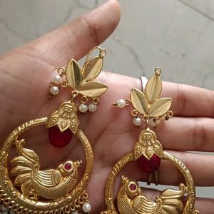 Punjabi Tika Or Earnings