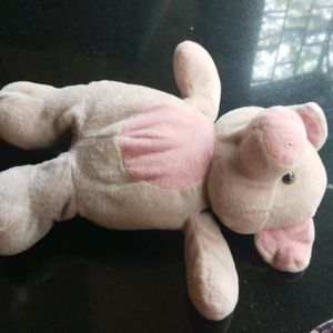 Pink Teddy