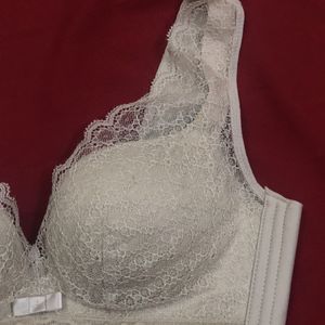 Lace  Design Bra