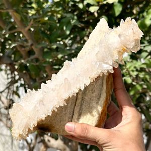 12"Beautiful Himalayan Quartz Cluster Samadhi Crys