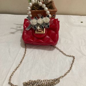 Chain & Pearls Cute Purse