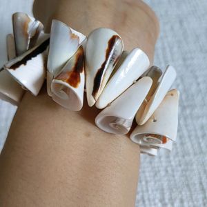 Shell Bracelet From Kanyakumari