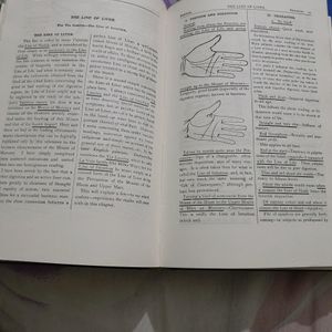 Study Of Palmistry Book