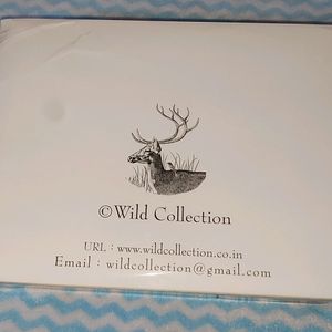 Wildlife Craft Collection 👌