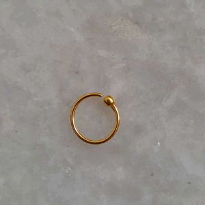 Beautiful New Ring Type Nosering