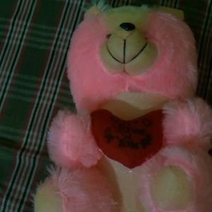 Cute Teddy Pink