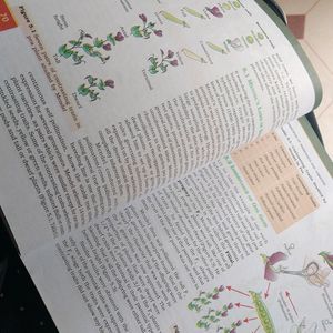 Ncert Class 12 Biology Textbook