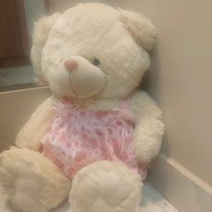 Cute Teddy Bear