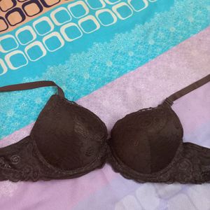 Branded Padded Bra