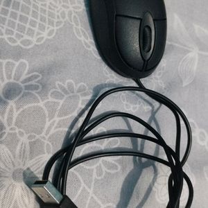 Computer  Mouse